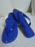 Havaianas Azul / Prata